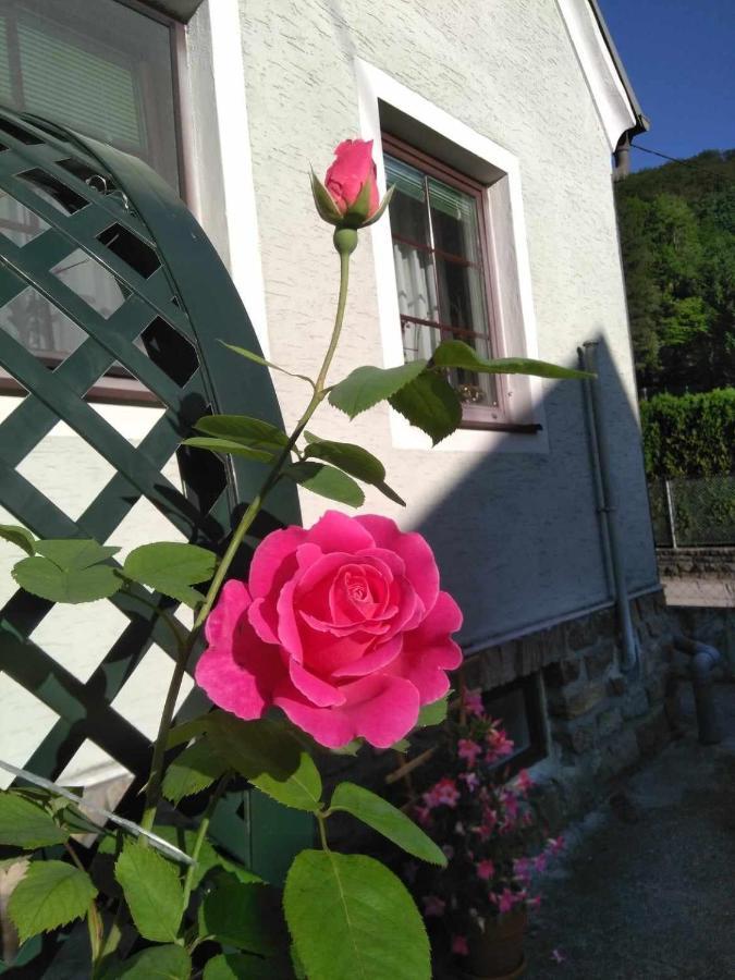 Apartamento Zu Hause Am Bach Aggsbach Exterior foto